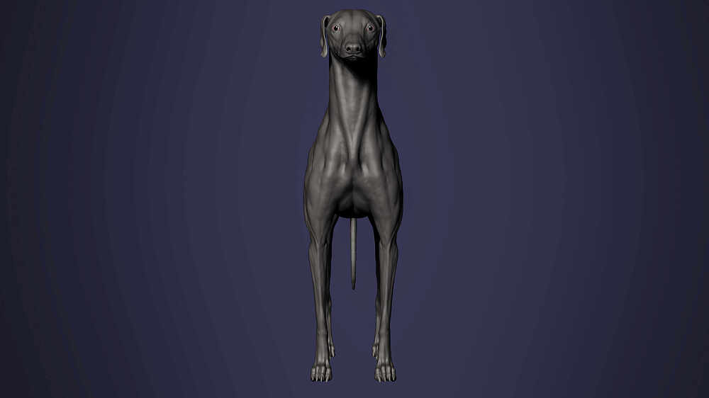 zbrush_02
