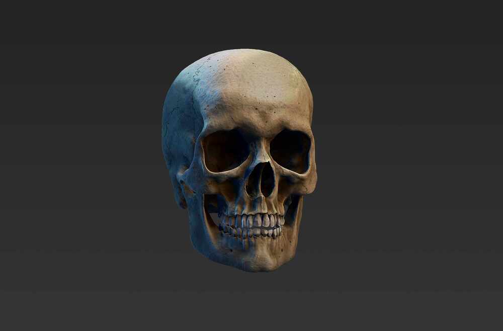 Cráneo_Render_Bruto