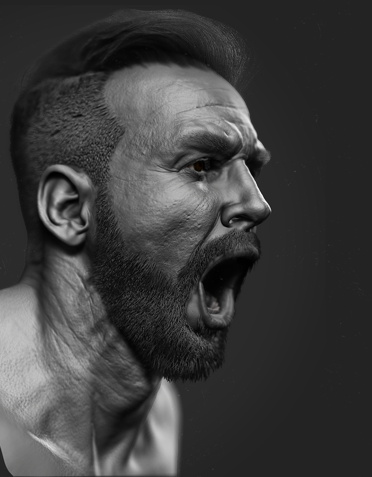 BPR_Render.jpg