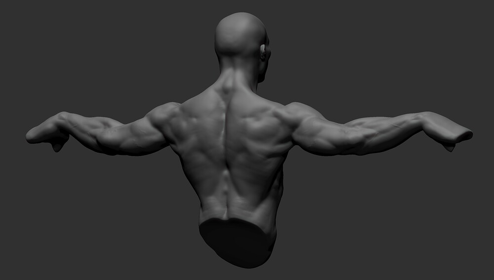 back-arms