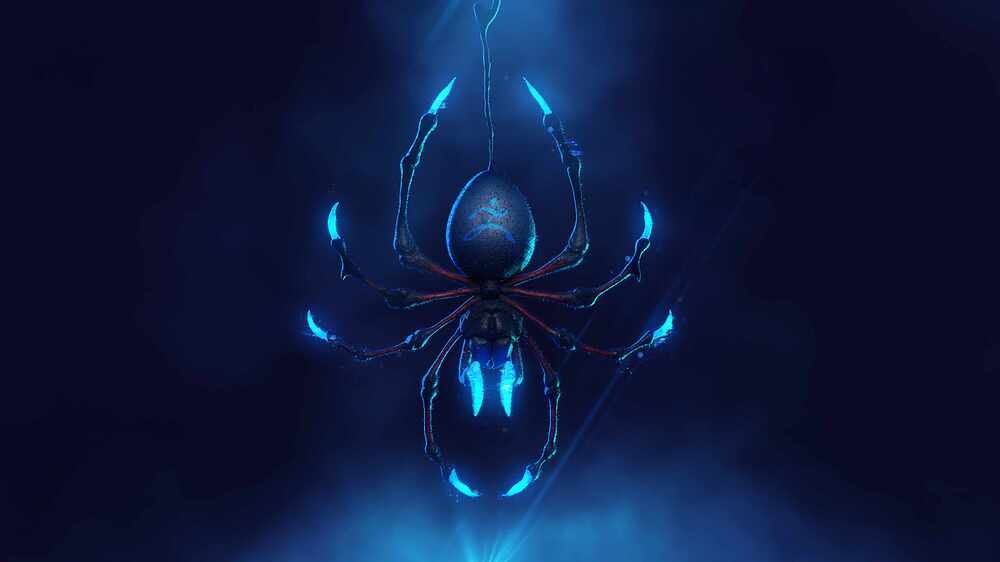 Rakan_Khamash_spider_01