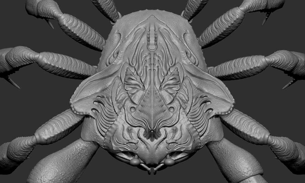Crab_prev_02