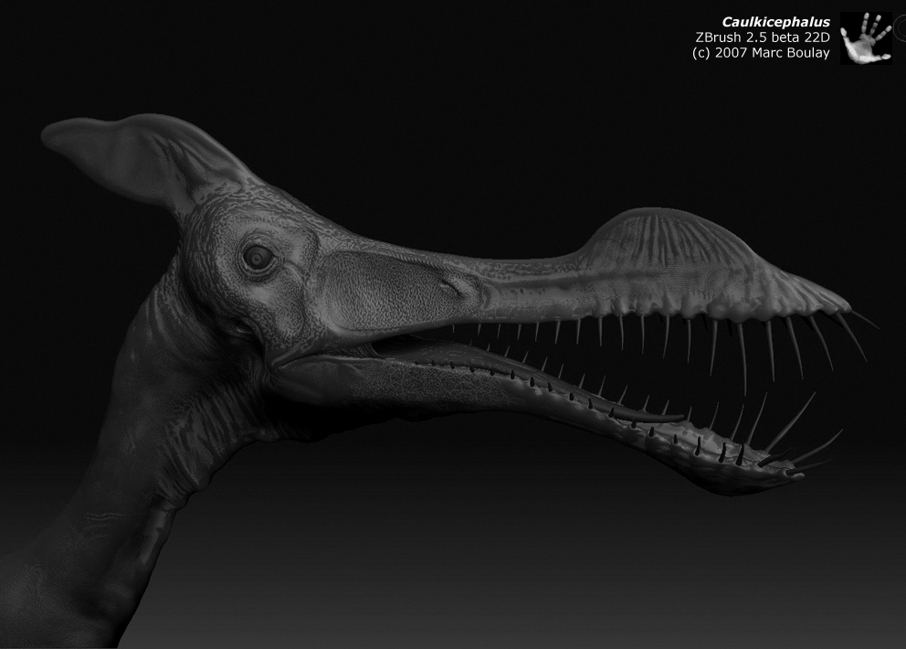 caulkicephalus_01.jpg
