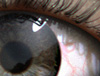 icon1.jpg