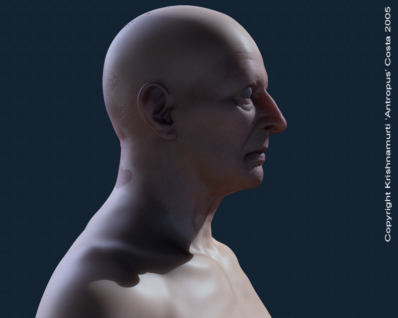 rendertest004.jpg