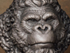 icon1.jpg