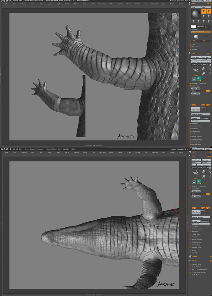 croc3.jpg
