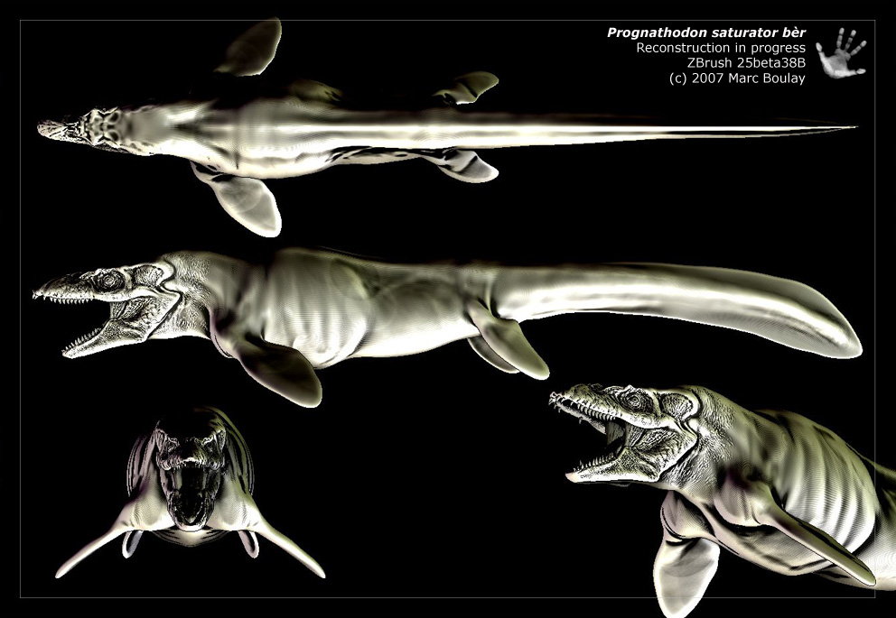 prognathodon_02.jpg
