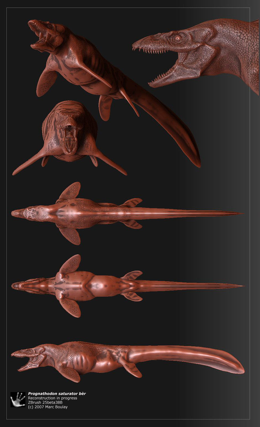 prognathodon_03.jpg