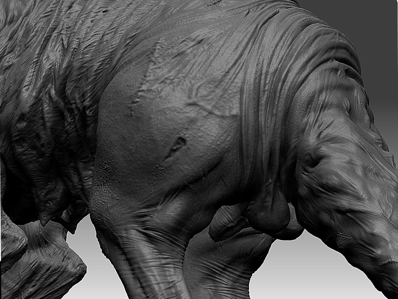 pig-5.jpg