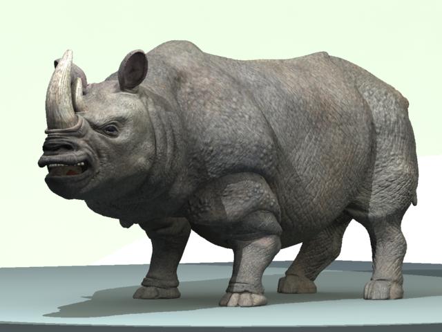 rhino5.jpg