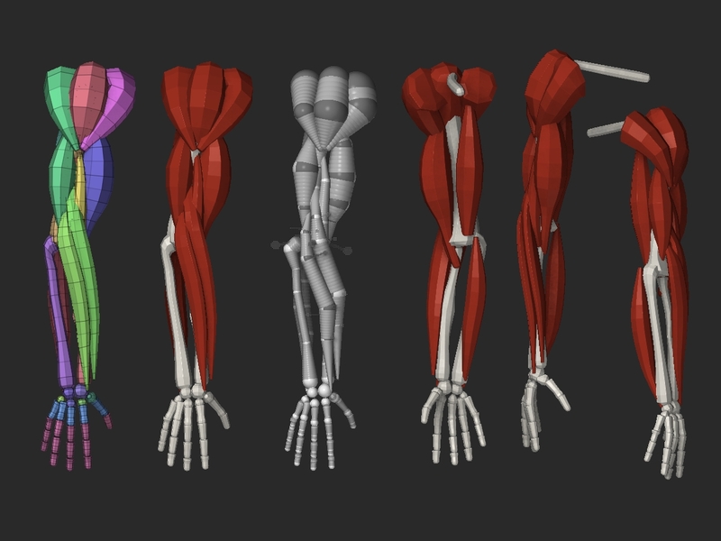 zskeleton.jpg
