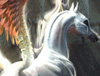 icon1.jpg