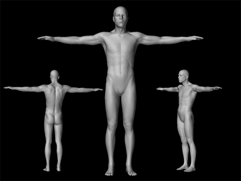 bodyComp.jpg