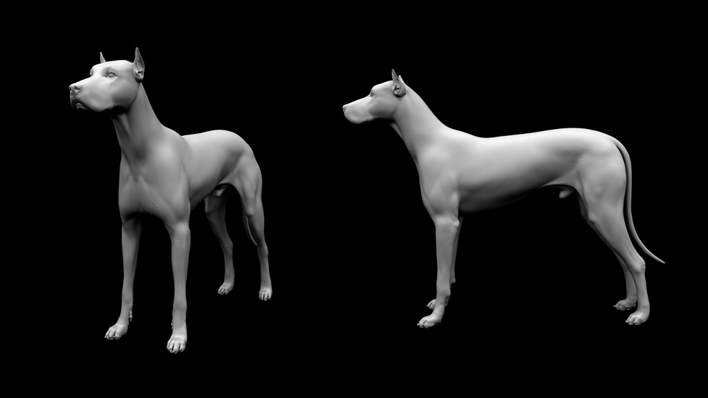 dog.jpg