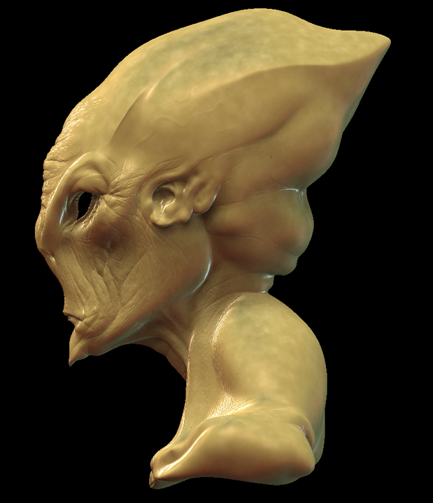 SIDE.jpg