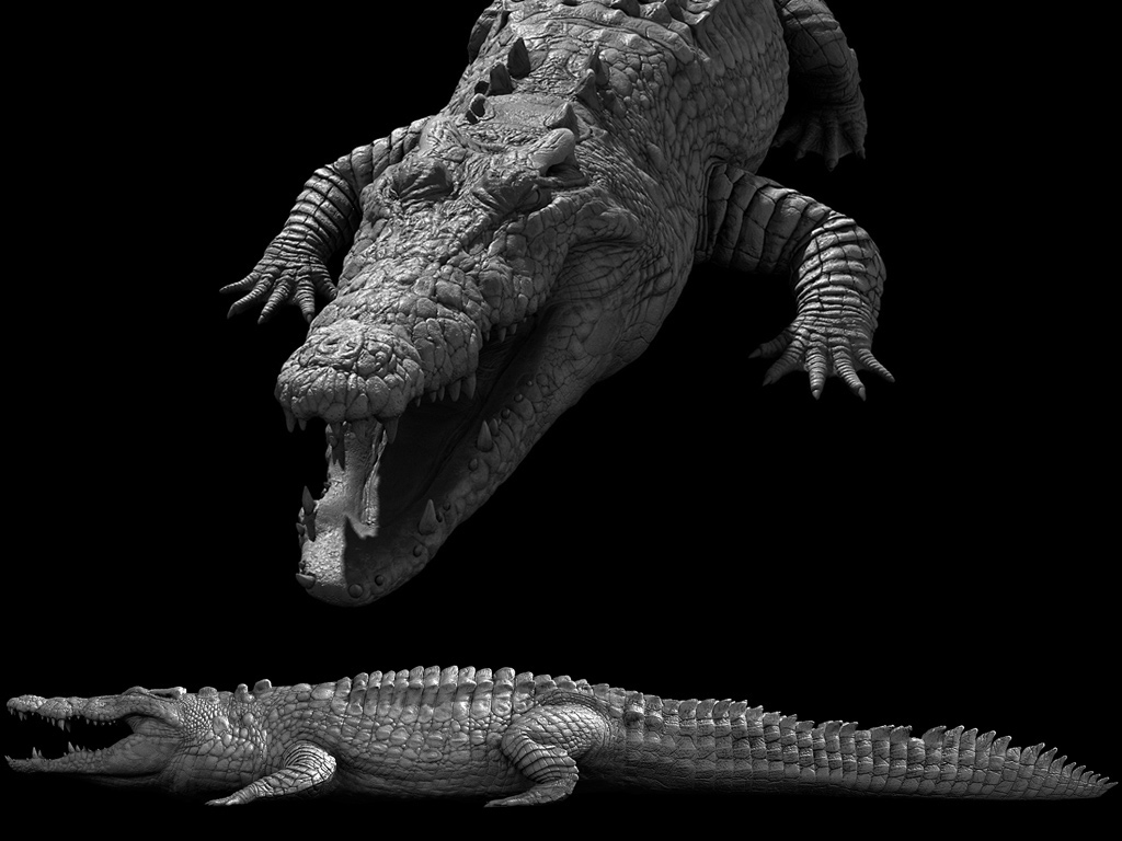 croc1.jpg