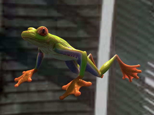 Frog.jpg