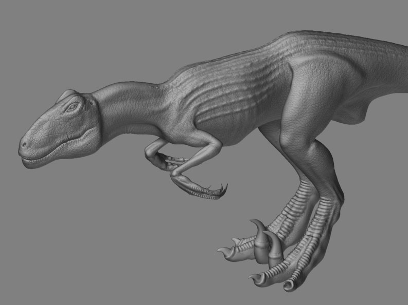 raptor_01.jpg