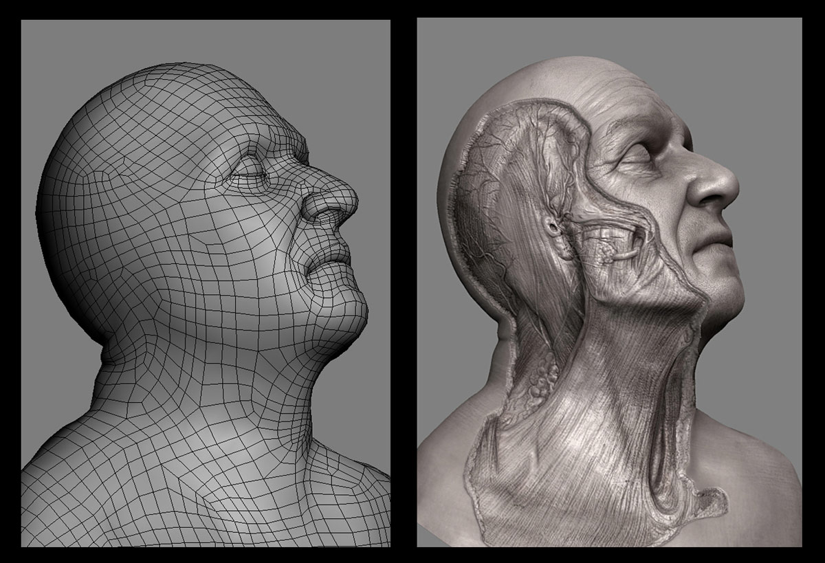 all2in1_meshes.jpg