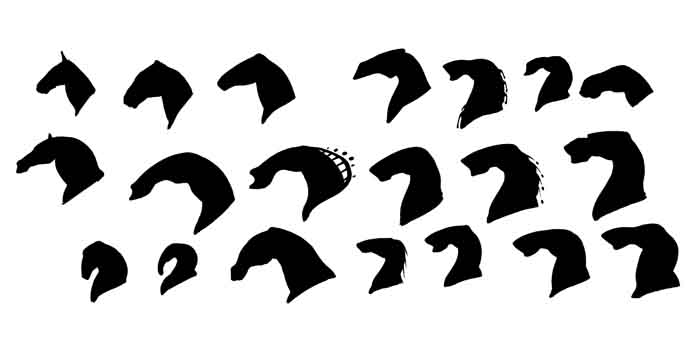 Silhouettes.jpg