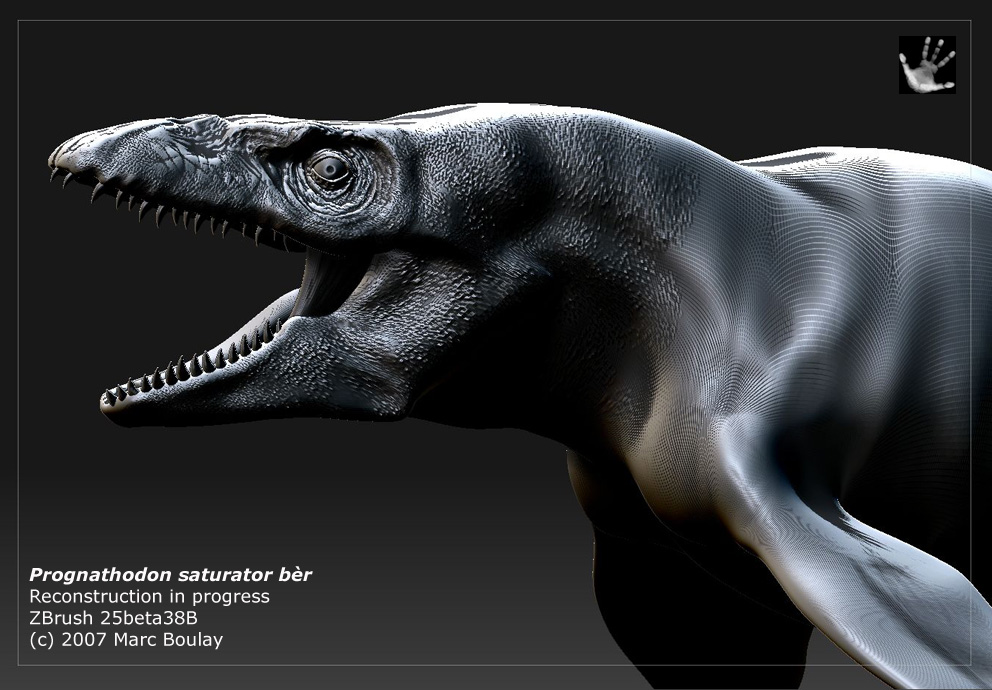 prognathodon_01.jpg