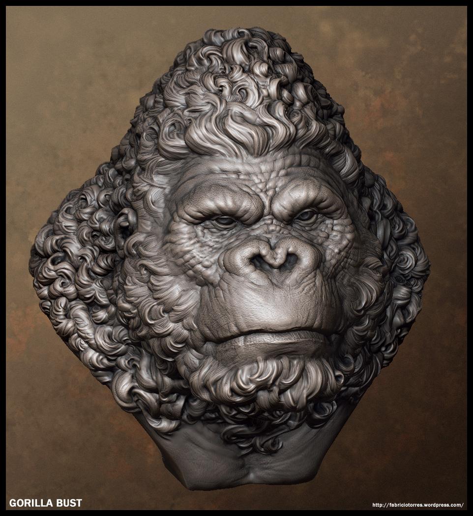 ape_13.jpg