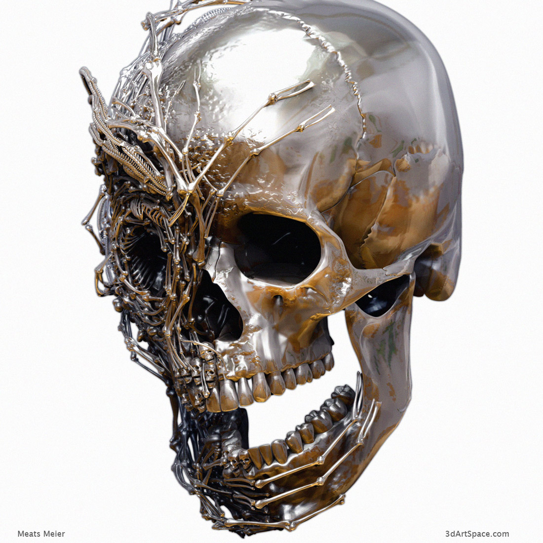 meats_Z_skull_1b.jpg