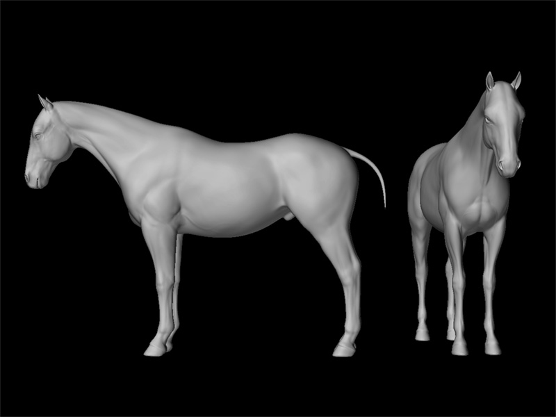 horseComp.jpg