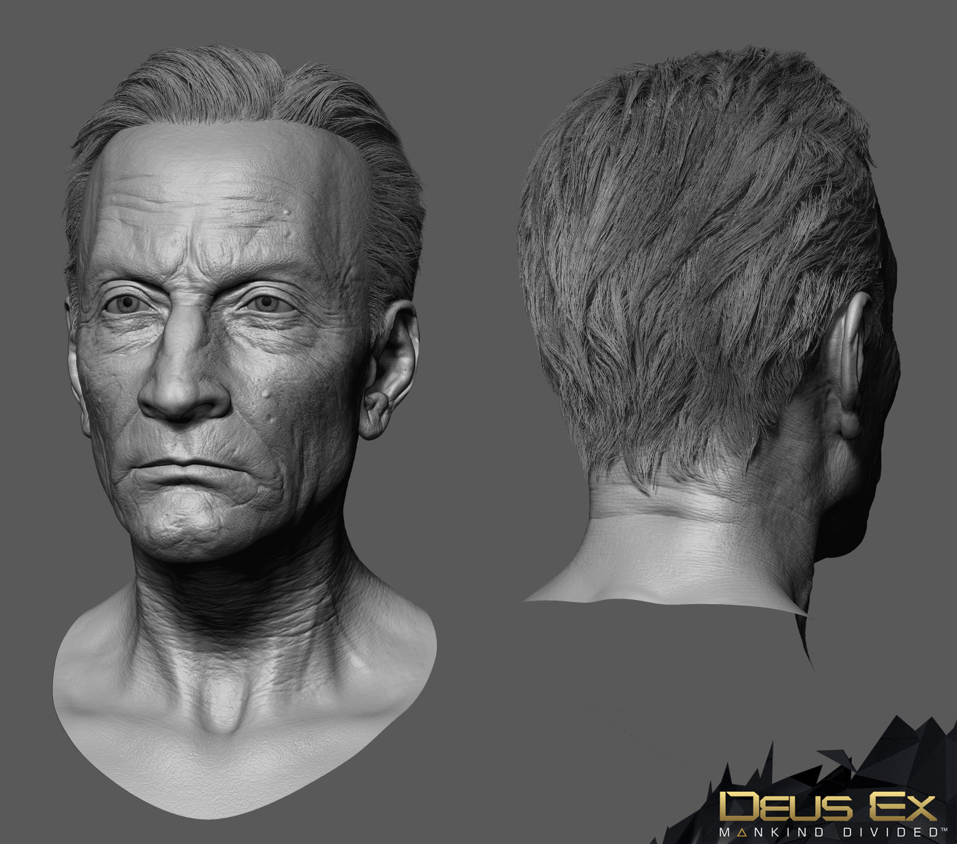 DX_Head_Z2.jpg