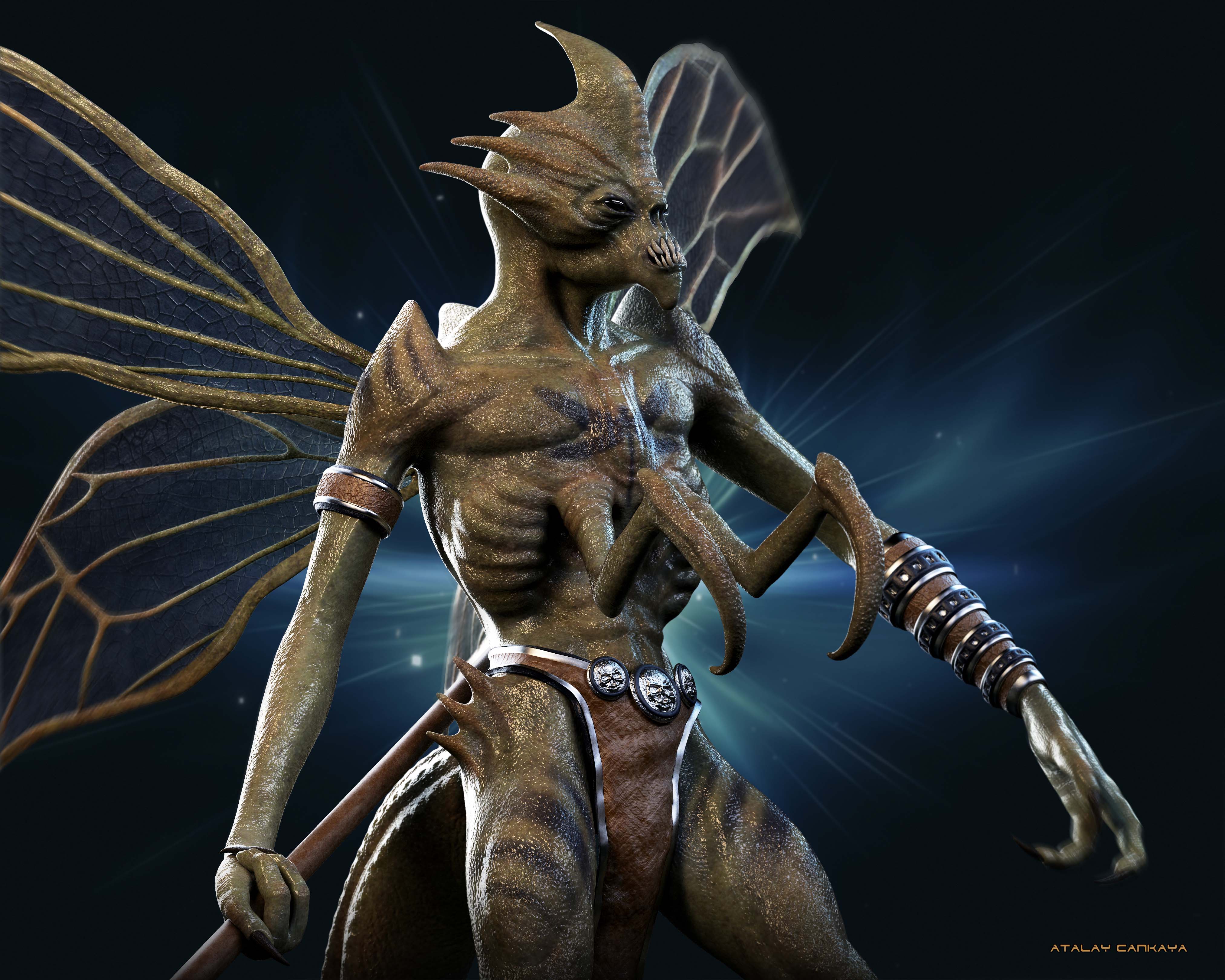 Warrior Bug 4.jpg
