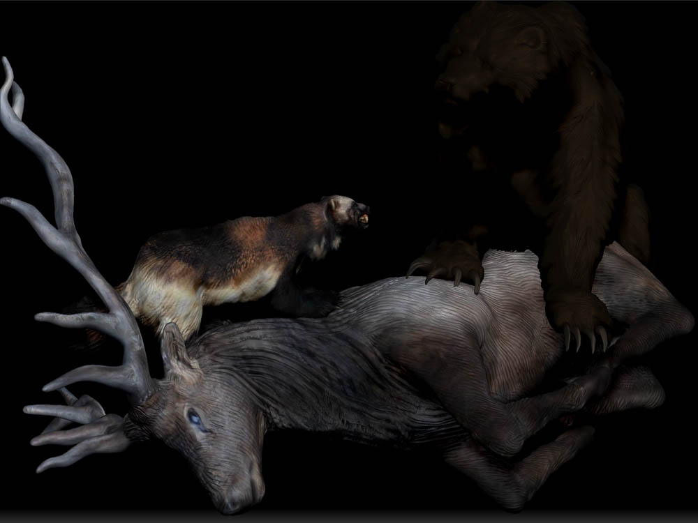 ELK FUR 8.jpg