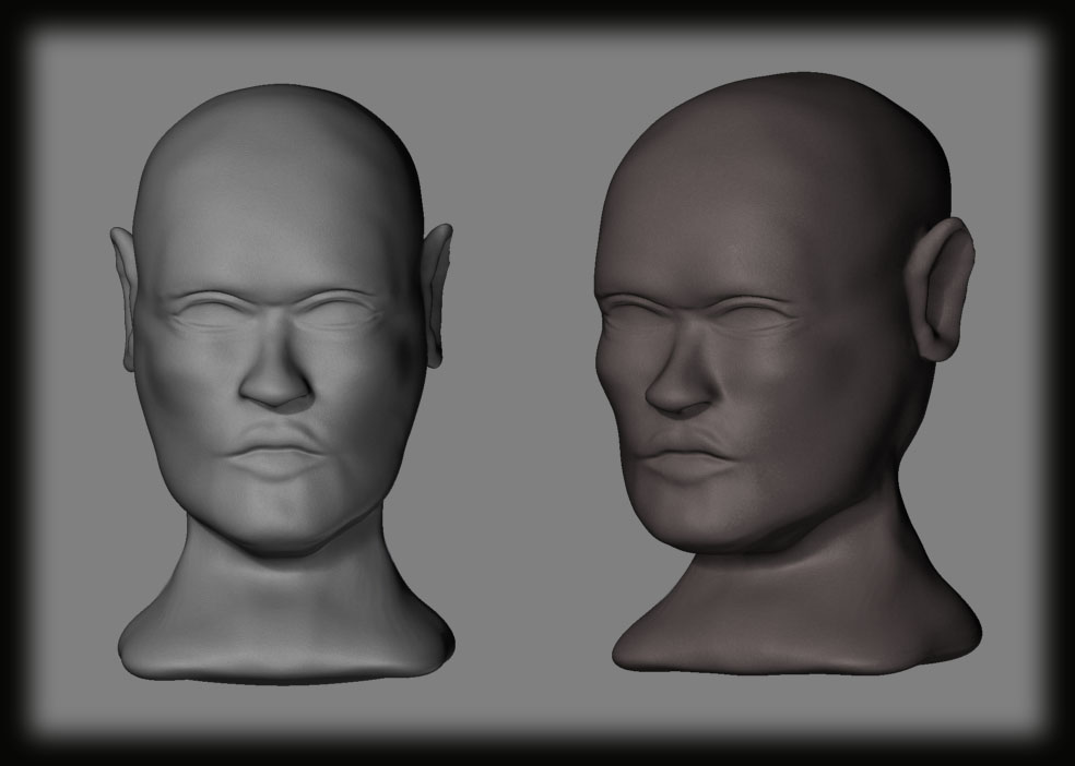 HEAD MODEL-1.jpg