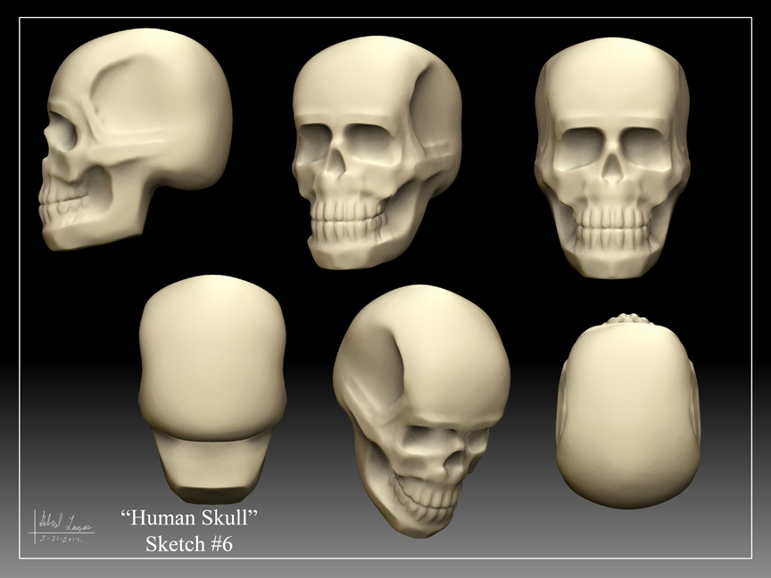 Human_Skull_Sketch_06.jpg