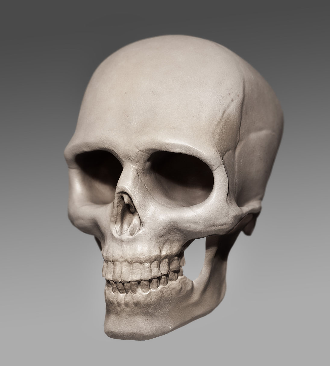 skullRenderTest.jpg