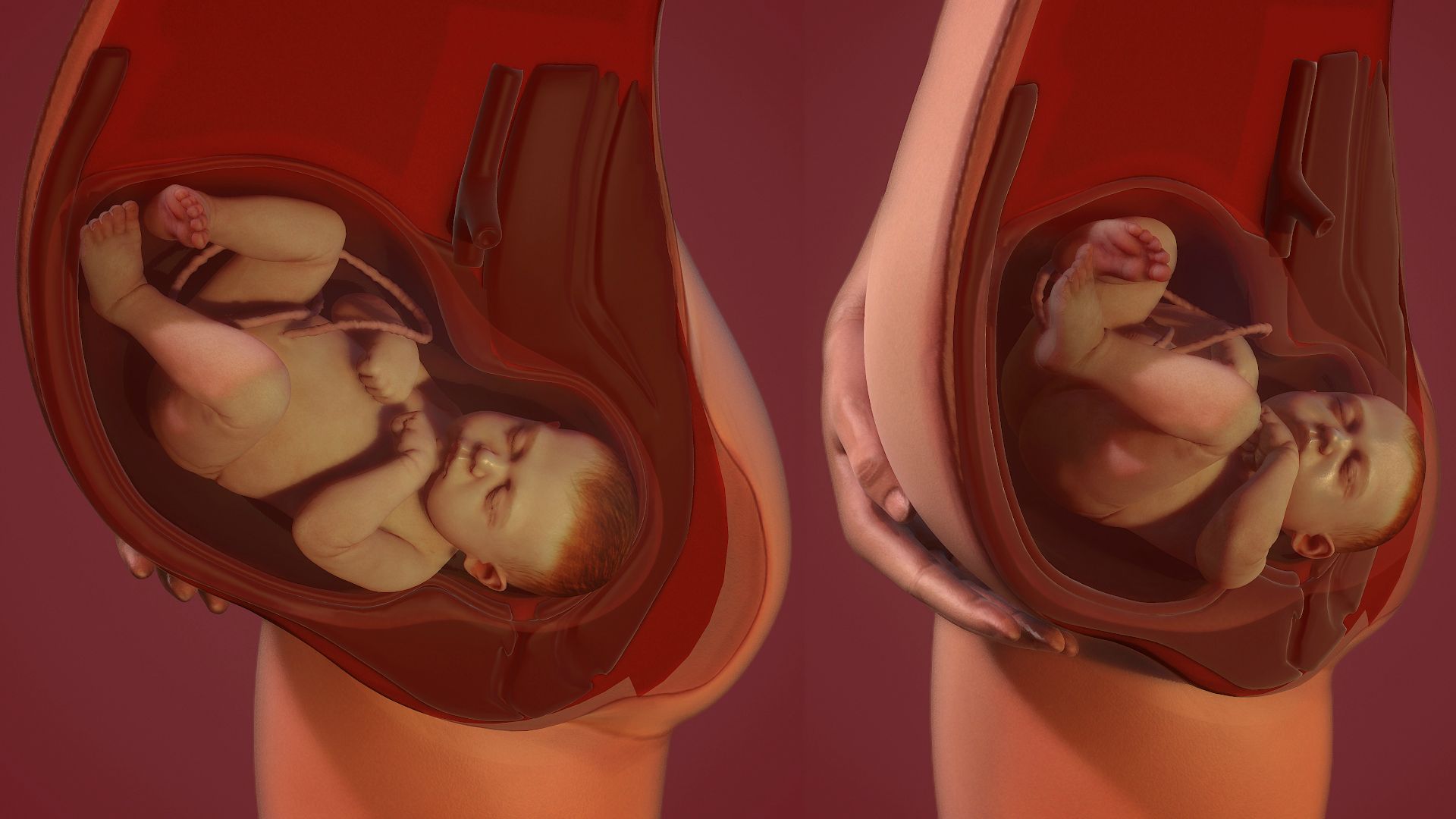 3FwTS4G.jpg