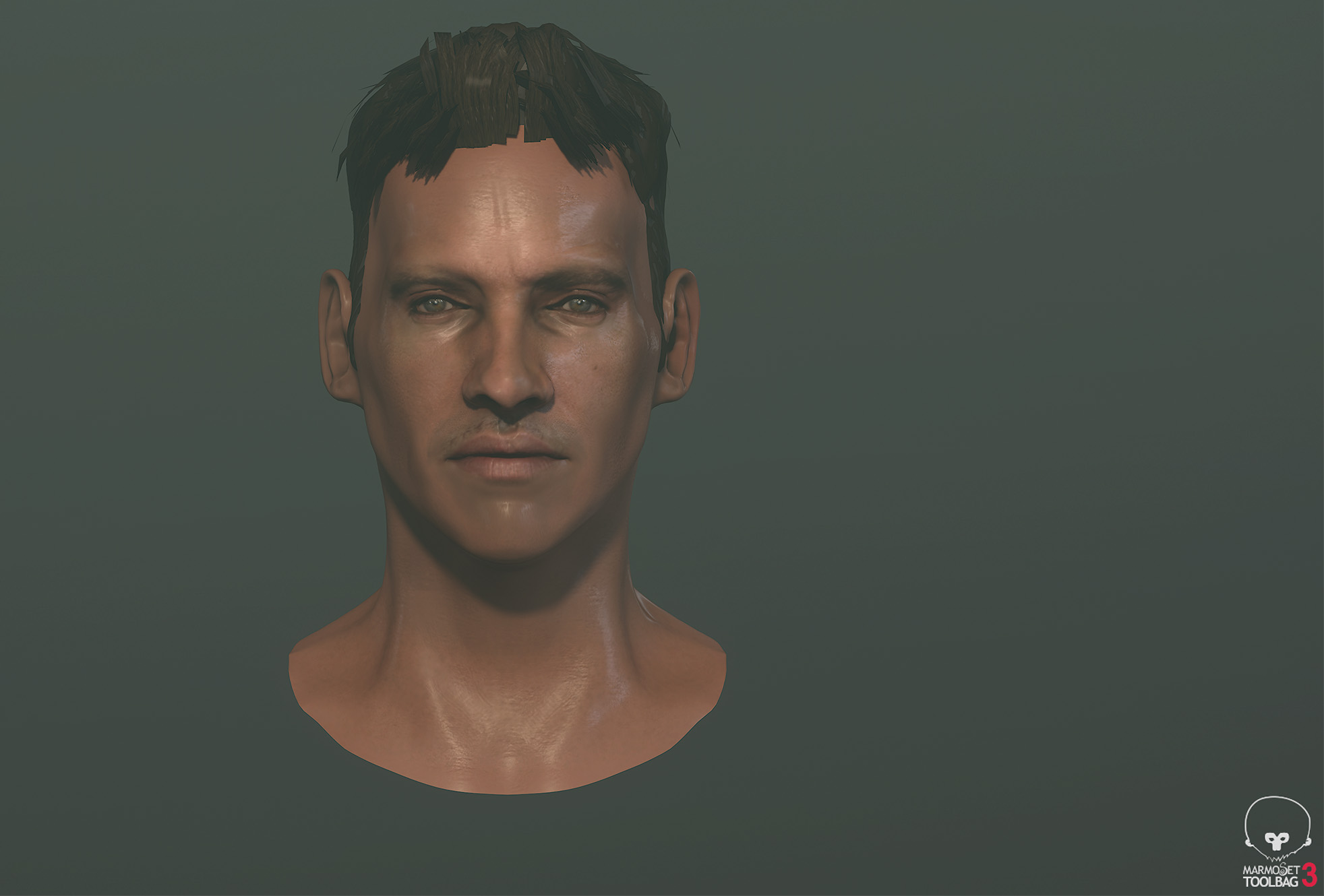 head-marmoset.jpg