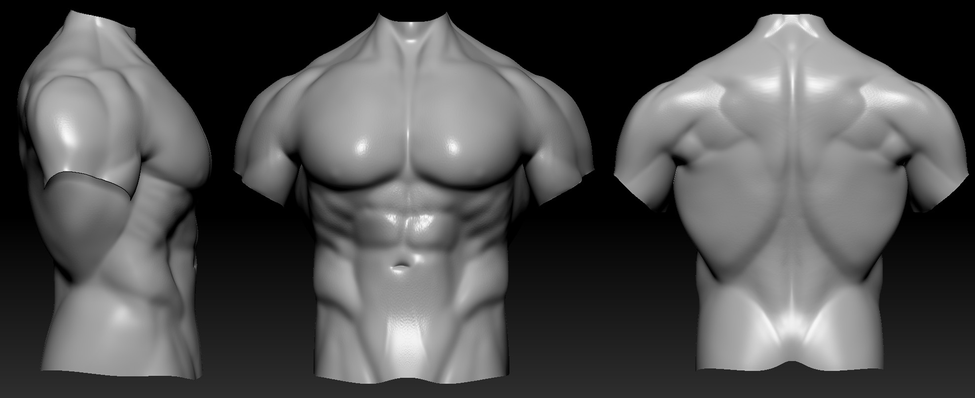 Torso_Study_02.jpg