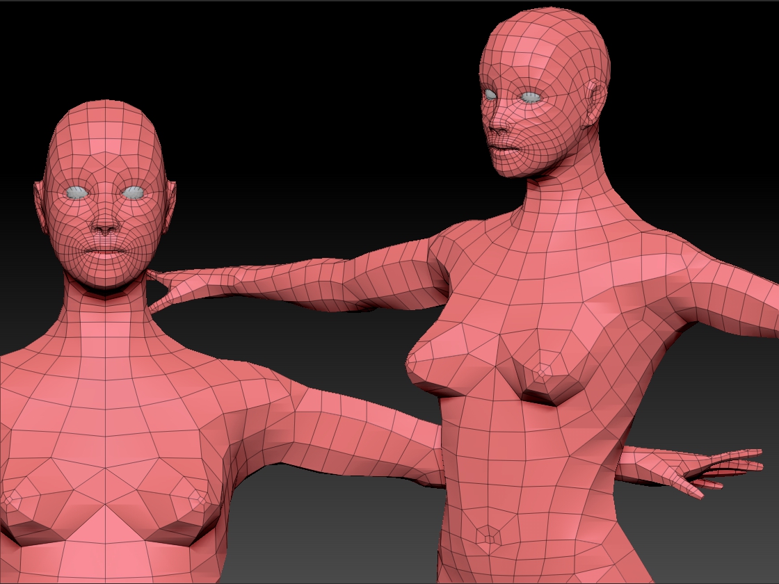 femalebase1.jpg