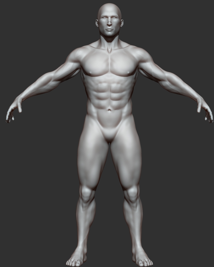 muscular guy_front.jpg