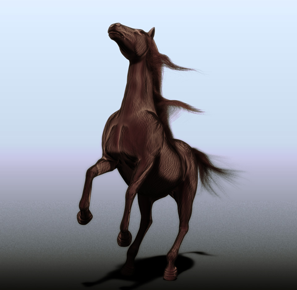 HorseHair2.jpg
