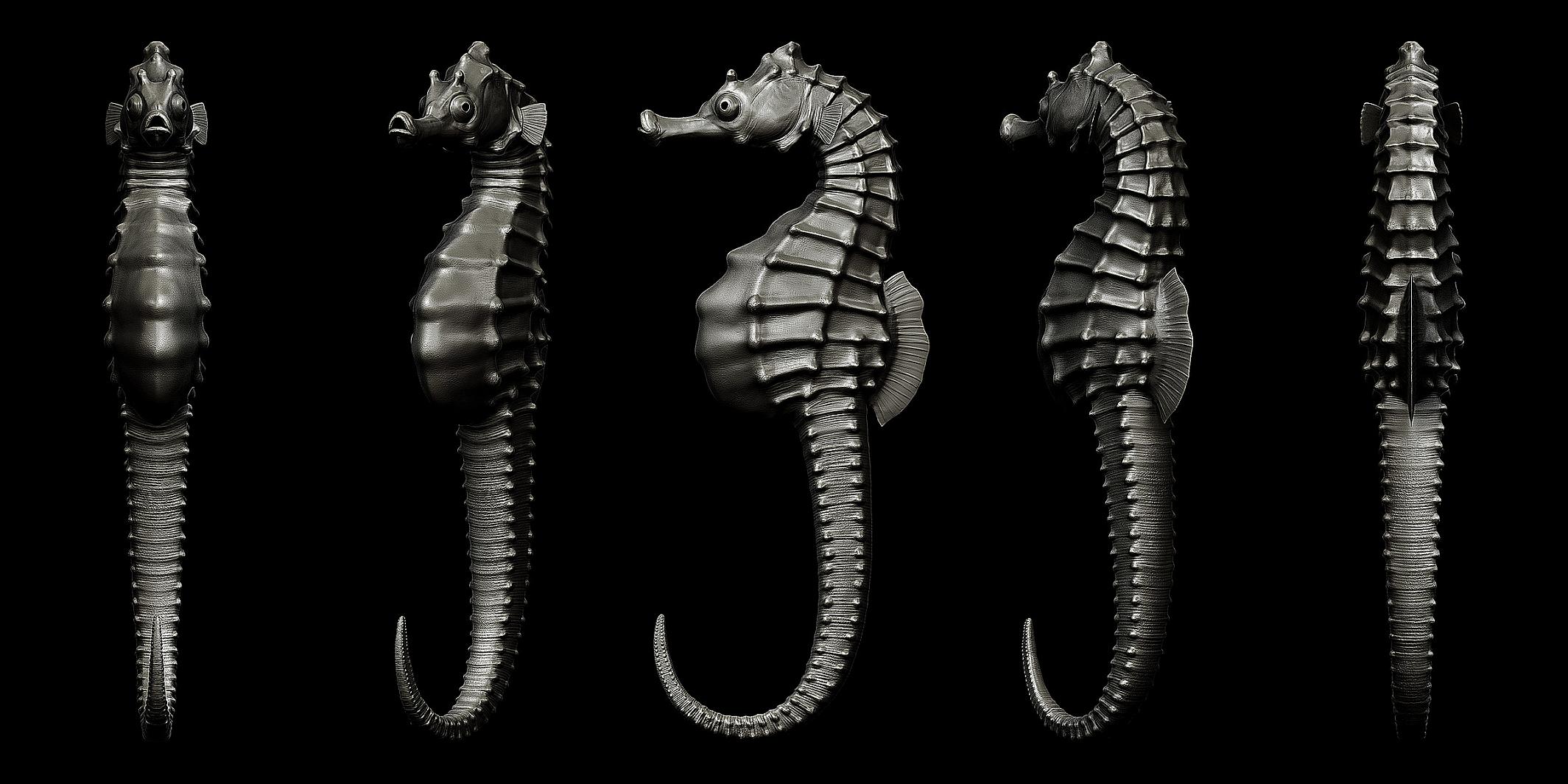 %5BZBRUSH%5D-Big-velly-Sea-Horse-1.jpg