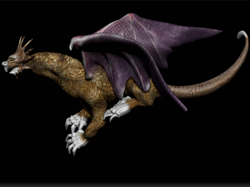 DRAGON SPOTLIGHT 9.jpg