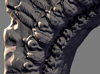 ZBC_THUMB.jpg