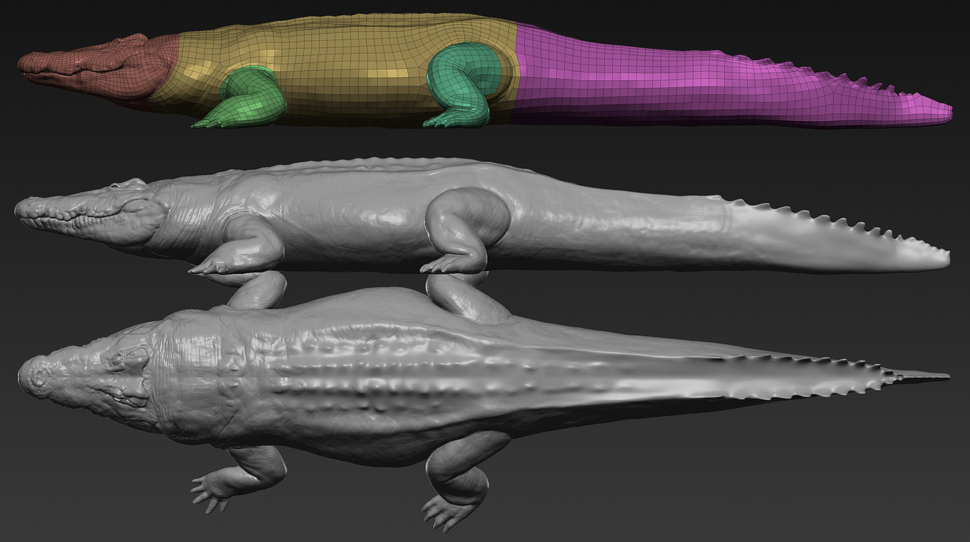 crocodile_09.jpg