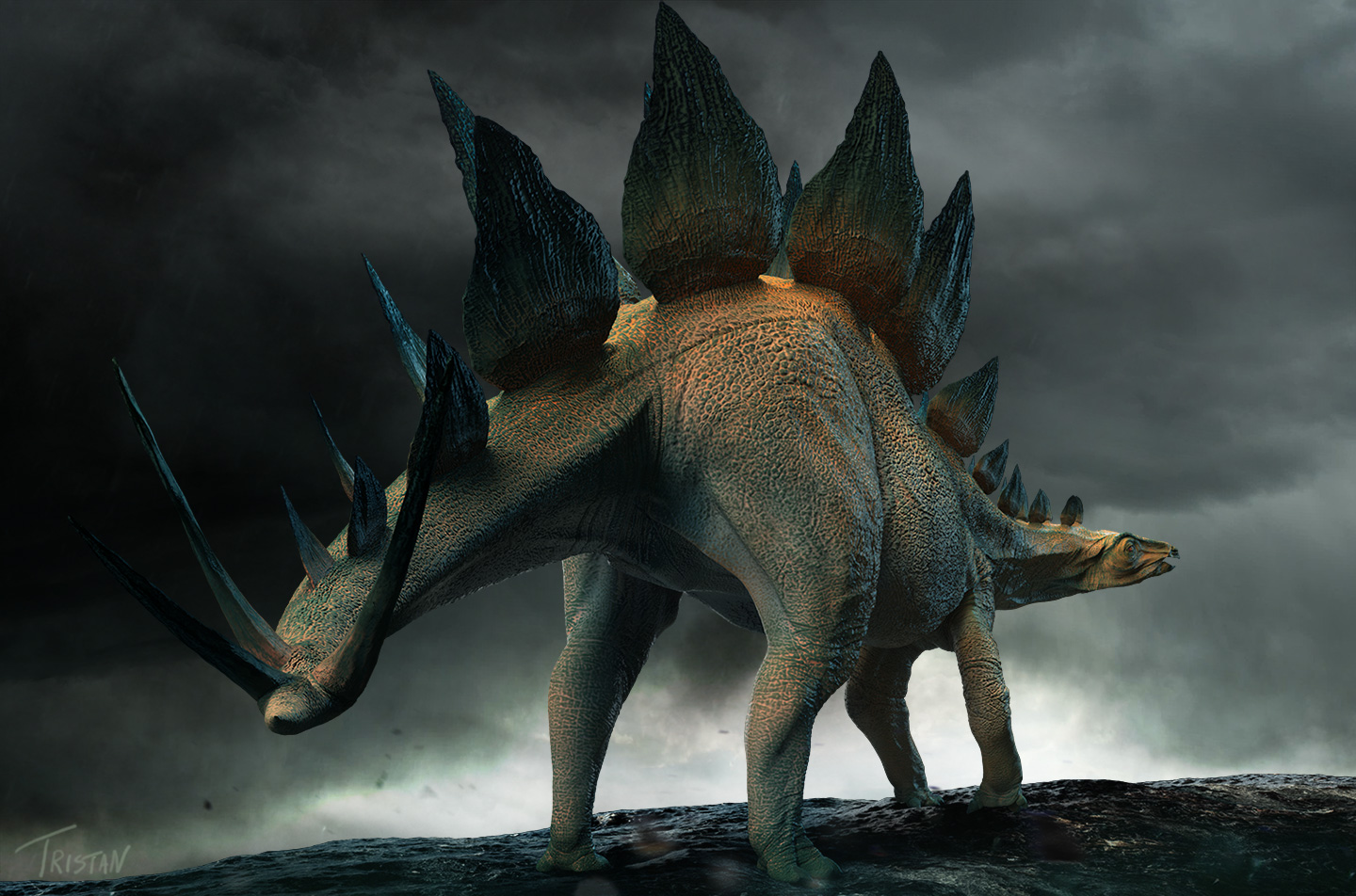 Stegosaurus_3_WEB.jpg