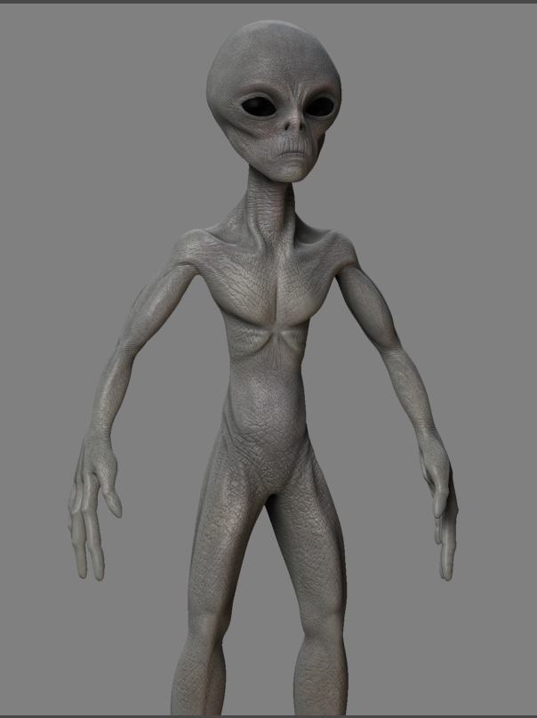 Wip10.JPG