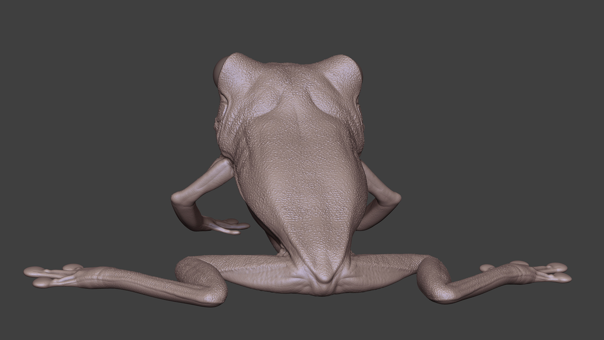 LeafFrog_06.jpg