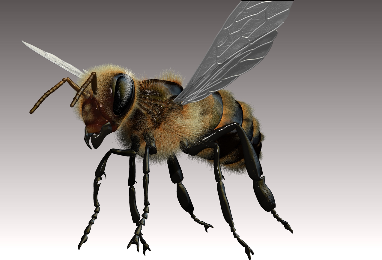 early bee colour test.JPG