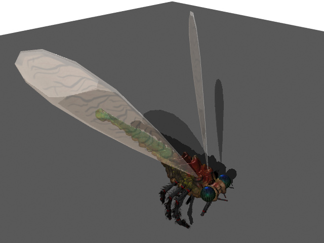 fly.jpg
